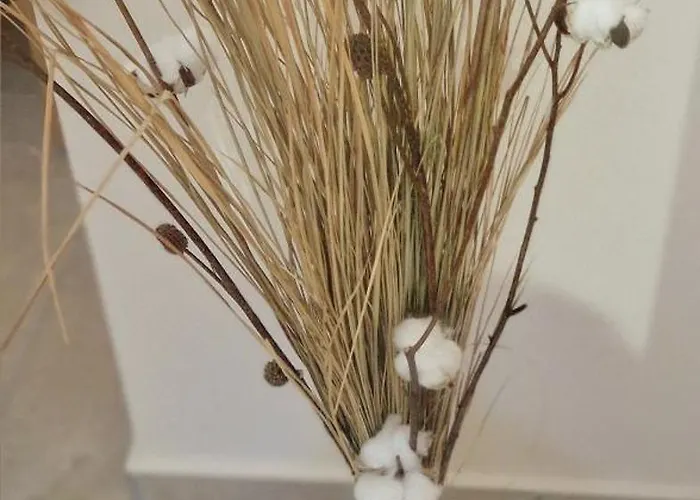 Le Cabanon Du Plaisir *